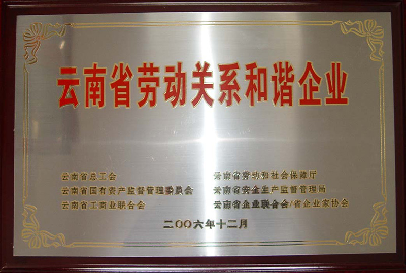 2006年—云南省勞動關系和諧企業(yè)